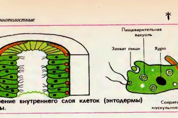 Как выйти на кракен