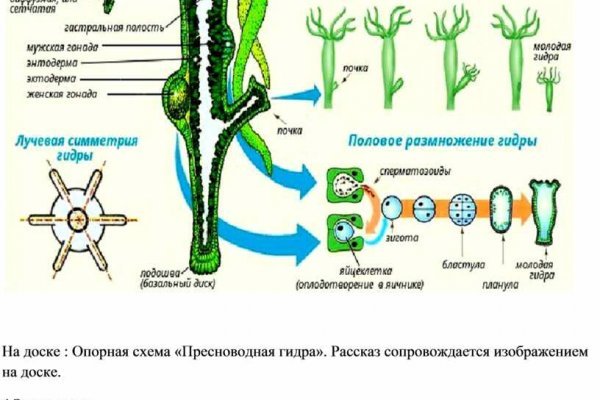 Сайт тор кракен